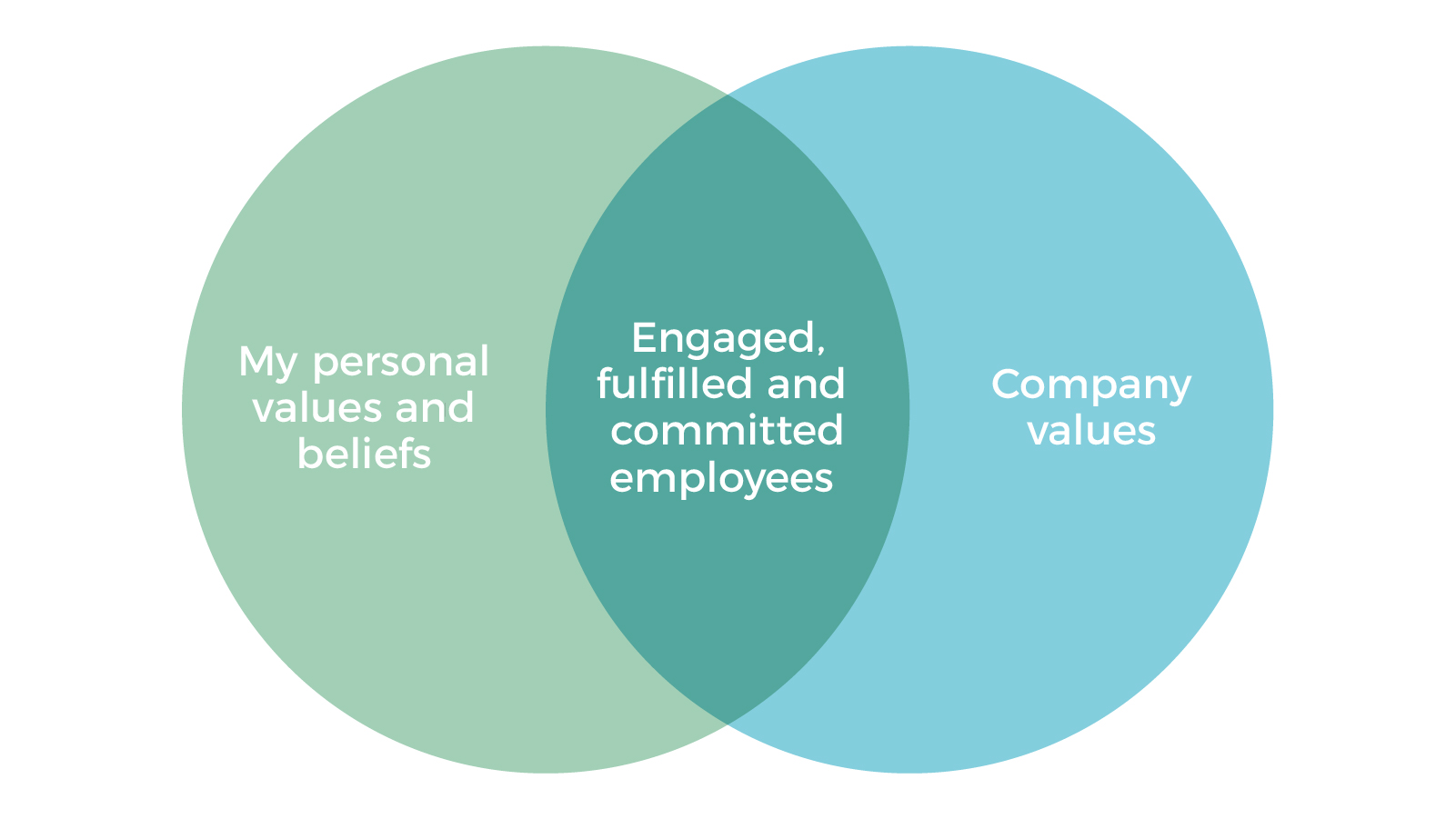 Venn diagram