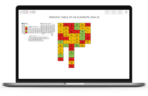 Vibe ED&I Cultural assessment