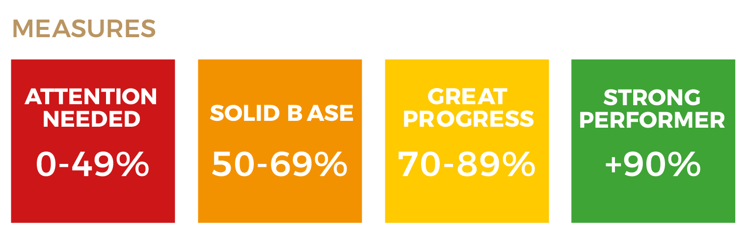 Vibe 360 Report Scores