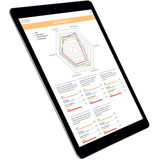 Vibe 360 - iPad